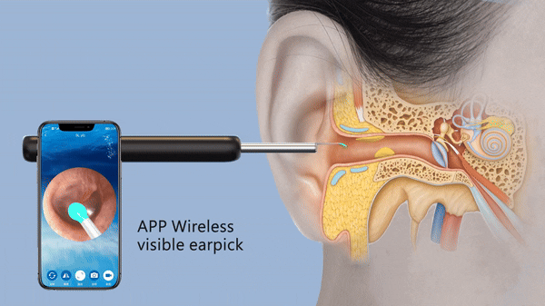 MidronePro Online Store 