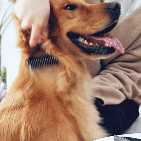 MidronePro Online Store 