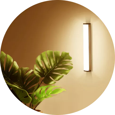 MidronePro Online Store 